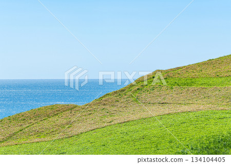 夏日青山和波光粼粼的大海（自然風光圖片） 134104405