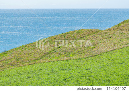 夏日青山和波光粼粼的大海（自然風光圖片） 134104407