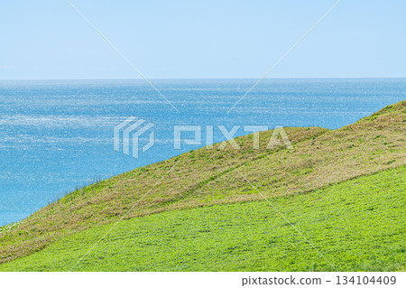Green summer hills and sparkling sea (nature image) 134104409
