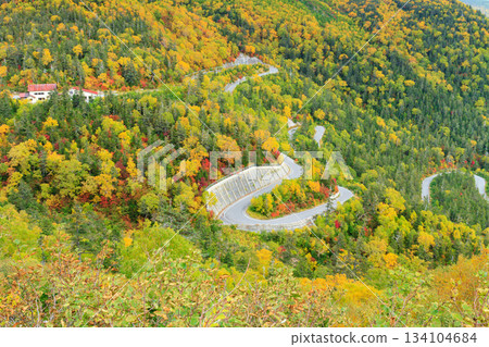 長野_乘鞍高原的壯麗秋葉景色 長野_乘鞍高原的壯麗秋葉景色 134104684