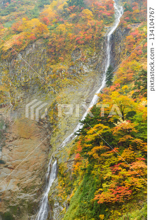 富山_名名瀑布紅葉染紅的絕景 134104767
