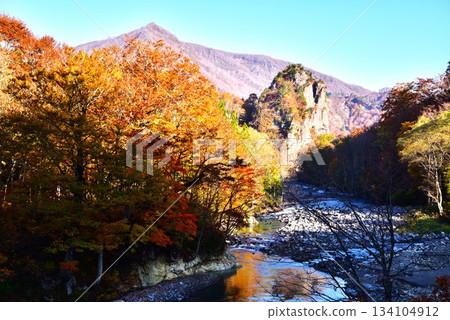 Autumn foliage at Tategaraiwa Rock, the source of the Harama River, Uonuma City, Niigata Prefecture Autumn foliage at Tategaraiwa Rock, the source of the Harama River, Uonuma City, Niigata Prefecture 134104912