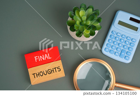 Final thoughts concept. Concluding ideas or reflections that summarize a discussion, project, or experience, leaving the key impression. Wooden blocks with inscription Final thoughts concept. Concluding ideas or reflections that summarize a discussion, project, or experience, leaving the key impression. Wooden blocks with inscription 134105100