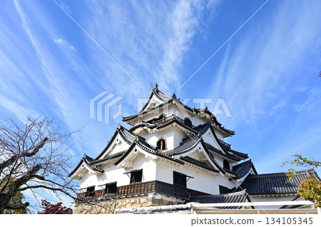 Castle tower and blue sky (Hikone Castle) 134105345