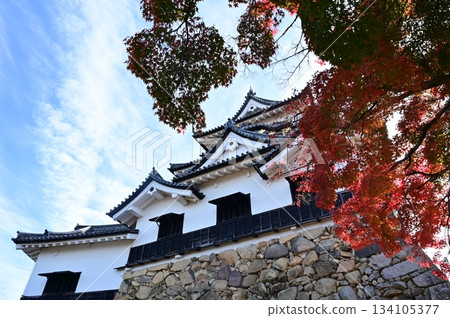 城堡塔樓和藍天(彥根城) 城堡塔樓和藍天(彥根城) 134105377