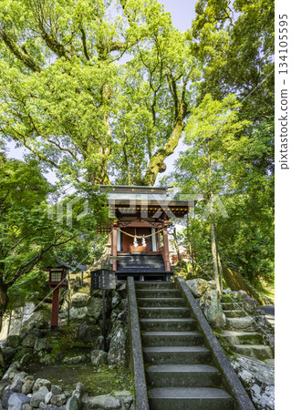 鹿兒島縣霧島市天之社霧島鹿兒島神社 134105595