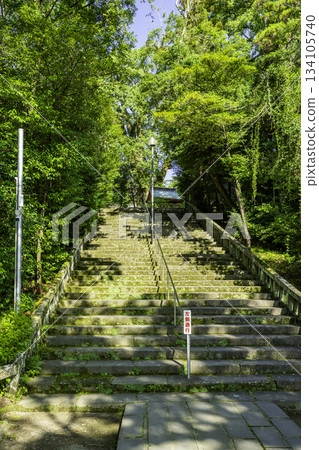 霧島鹿兒島神社石階通往霧島市，鹿兒島縣 134105740