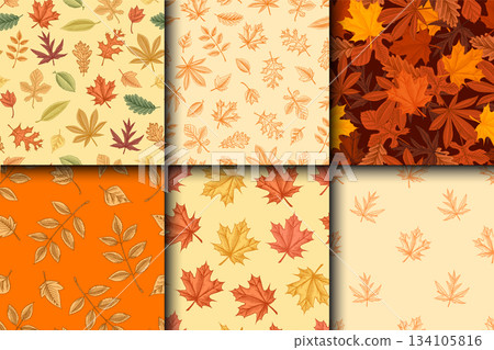Autumn leaves patterns collection. Fall season different tree foliage oak and linden, aspen, ash Autumn leaves patterns collection. Fall season different tree foliage oak and linden, aspen, ash 134105816
