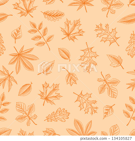 Autumn leaves pattern. Fall season different tree foliage yellow and red hand drawn, engraved Autumn leaves pattern. Fall season different tree foliage yellow and red hand drawn, engraved 134105827
