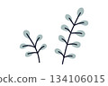 A botanical illustration of soft leaves with a Nordic feel A botanical illustration of soft leaves with a Nordic feel 134106015