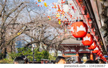 Sensoji Temple Nakamise *Some parts are soft focus Sensoji Temple Nakamise *Some parts are soft focus 134106067