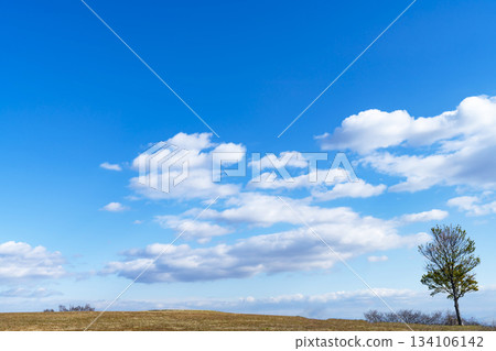 Winter sky, clouds and grassland Winter sky, clouds and grassland 134106142