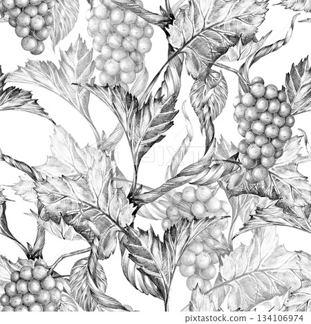 Grape vine branches with leaves and berries. Rich Seamless pattern, Hand drawn with pencil without Grape vine branches with leaves and berries. Rich Seamless pattern, Hand drawn with pencil without 134106974