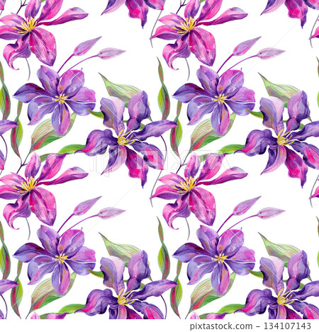 Clematis flowers and buds, leaves multicolored, graceful. Seamless pattern. Hand-drawn with watercolors with texture 134107143