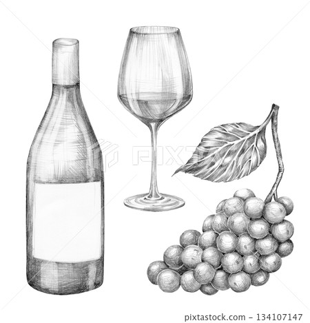Set of wine bottle, glass and bunch of grapes. Hand drawn with pencil without background. Graphic Set of wine bottle, glass and bunch of grapes. Hand drawn with pencil without background. Graphic 134107147