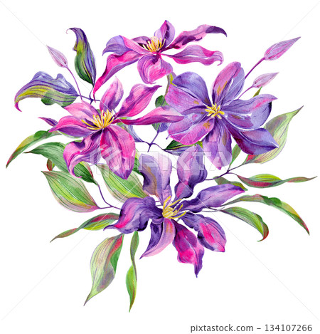 Clematis flowers and buds, leaves multicolored, graceful. Bouquet on a white background Clematis flowers and buds, leaves multicolored, graceful. Bouquet on a white background 134107266