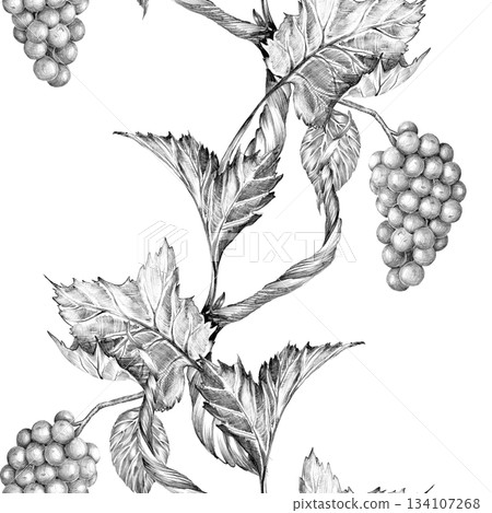 Grapevine branch with leaves and berries. Seamless border, Hand drawn with pencil. Graphic drawing. For food, packaging and cosmetics 134107268