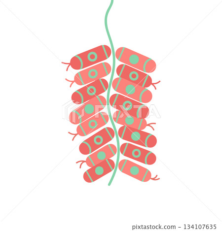 String of Firecrackers 134107635