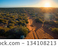 Kangaroo hops along a dirt track in the Australian outback at sunset 134108213