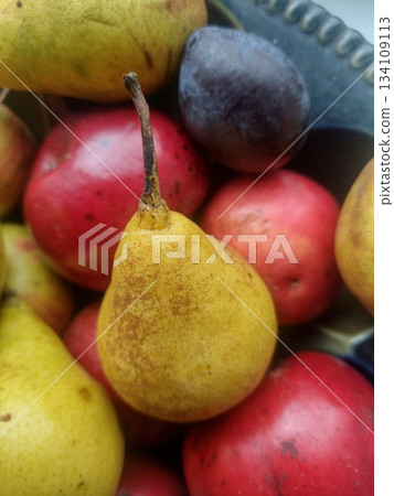 Apples, pears and plums in a plate. Apples, pears and plums in a plate. 134109113