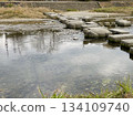 Kameishi stone on the Kamo River in Kyoto 134109740