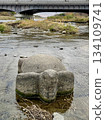 Close-up of Kameishi stone on the Kamo River in Kyoto 134109741