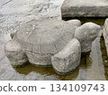 Close-up of Kameishi stone on the Kamo River in Kyoto 134109743