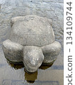 Close-up of Kameishi stone on the Kamo River in Kyoto 134109744