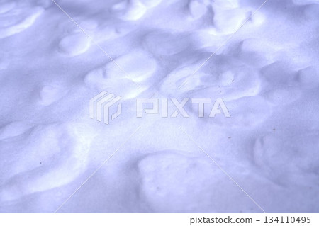 雪地上留下的圖案 134110495