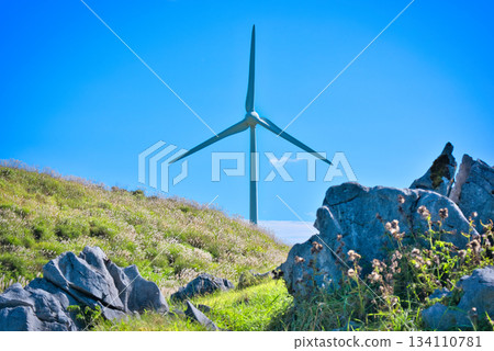 四國喀斯特風車 134110781