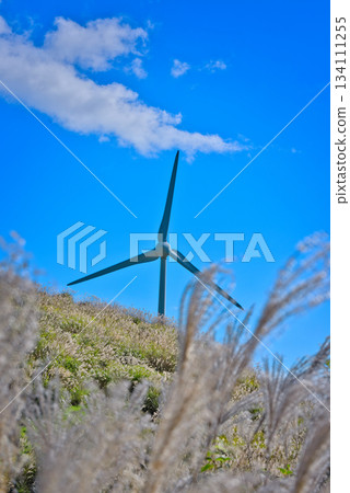 四國喀斯特風車 134111255