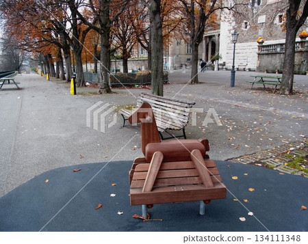 瑞士日內瓦公園的秋景 瑞士日內瓦公園的秋景 134111348