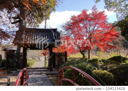 福岡縣築紫野市武藏寺的秋葉 134111428