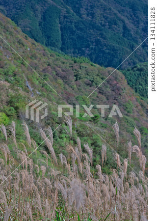 Shikoku Mountains viewed from Shikoku Karst 134111828