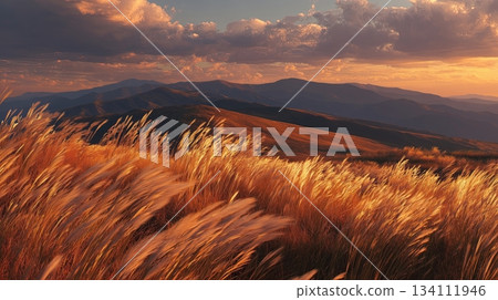 草地 草原 牧場 134111946