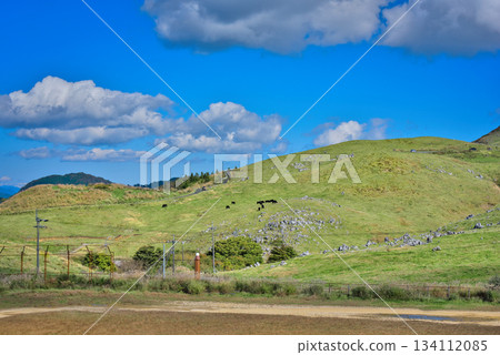 四國喀斯特 四國喀斯特 134112085