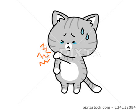 Cats suffering from stiff shoulders and neck 134112094