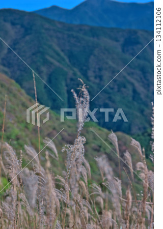 Shikoku Mountains viewed from Shikoku Karst Shikoku Mountains viewed from Shikoku Karst 134112106