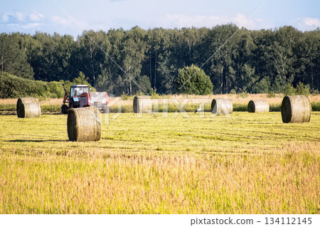 Haymaking process: a baling machine collects dried grass and creates dense, round hay bales tied with twine. This efficient farming method simplifies storage and transportation of animal fodder. Haymaking process: a baling machine collects dried grass and creates dense, round hay bales tied with twine. This efficient farming method simplifies storage and transportation of animal fodder. 134112145