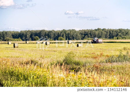 A tractor with a round baler is picking up hay in a field, forming compact bales for easy storage and transport. Agricultural machinery at work in a rural landscape. A tractor with a round baler is picking up hay in a field, forming compact bales for easy storage and transport. Agricultural machinery at work in a rural landscape. 134112146