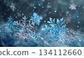 Nature-inspired composition showcases whimsical icy textures. Elegance, serenity, and festive cheer. 134112660