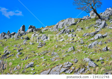 Shikoku karst 134112748