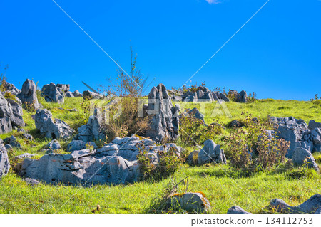 Shikoku karst 134112753