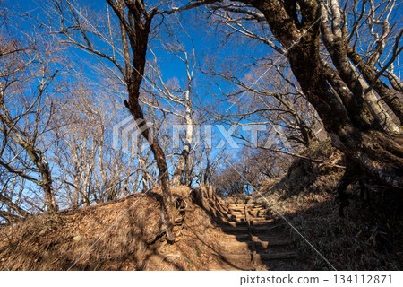 Mount Tono and Mount Tanzawa, Kanagawa Prefecture Mount Tono and Mount Tanzawa, Kanagawa Prefecture 134112871