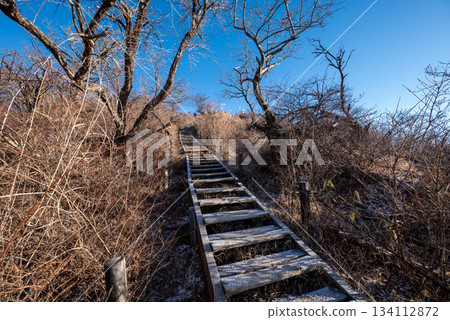 Mount Tono and Mount Tanzawa, Kanagawa Prefecture Mount Tono and Mount Tanzawa, Kanagawa Prefecture 134112872