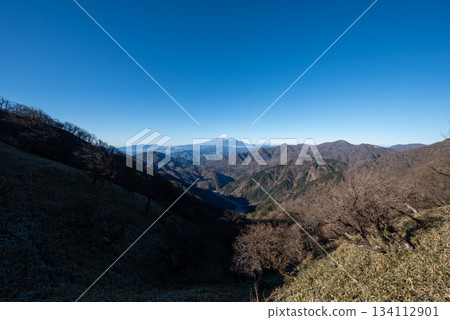 神奈川縣的戶之岳和丹澤岳 134112901