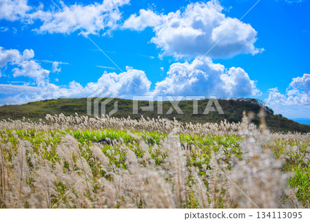 四國喀斯特 134113095