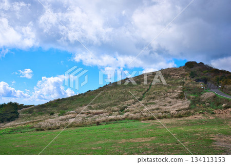 四國喀斯特的風景 四國喀斯特的風景 134113153