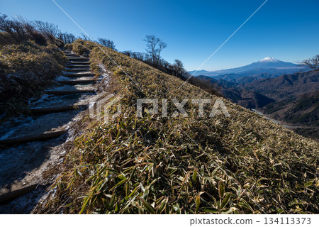 神奈川縣的戶之岳和丹澤岳 134113373