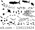 Deformed silhouette illustration of a school of fish and aquatic animals 134113424